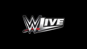 WWE Attendance Figures