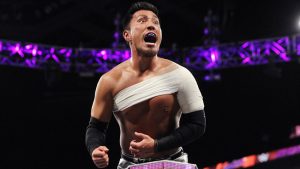 WWE 205 Live Results