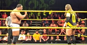 Wrestlemania AXXESS