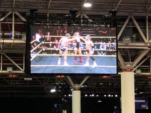 Wrestlemania AXXESS Results