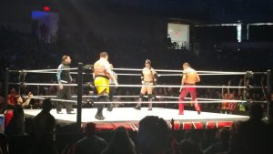 WWE Live Results