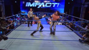 Impact Results