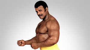 WWE statement on Rocky Johnson