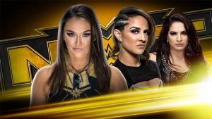 Upcoming NXT matches