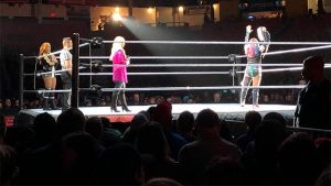 WWE Live Results