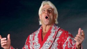 Ric Flair sneakers