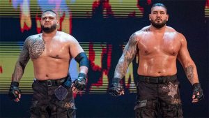 AOP released by WWE