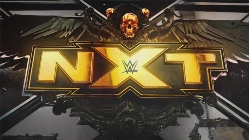 12 WWE NXT talents released