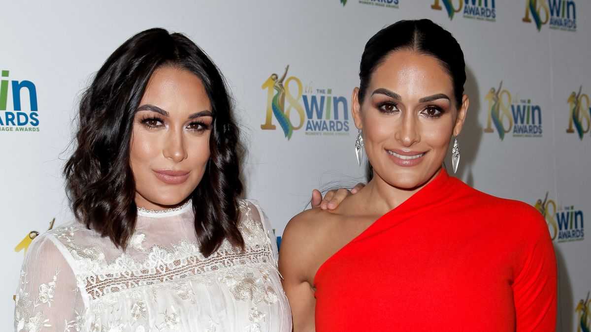 UPDATE: Nikki And Brie Bella confirm departure from WWE - WWE News, WWE ...