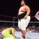 WWF Royal Rumble results